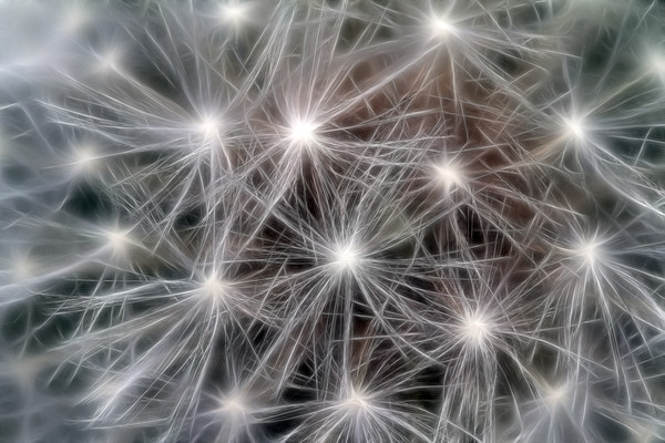 ���Ի����ѹ�Ӣ��