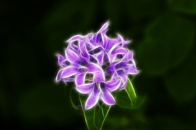 ���Ի���ɽ����