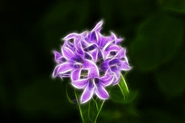 ���Ի���ɽ����