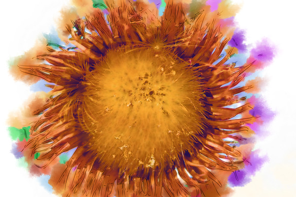 ���Ի������տ���