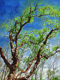 �����ͻ�����������