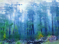 �����ͻ�������ɭ�֡�