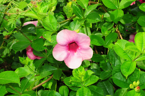 �����ҿ��ϲ���