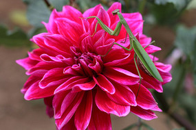 ��������һ�