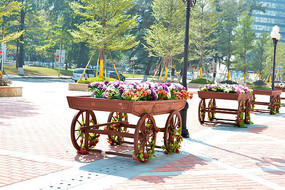 ľ���ϵĻ�̳