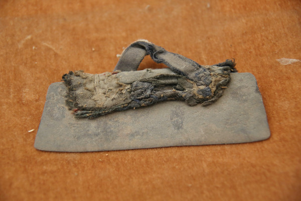 ũ����������