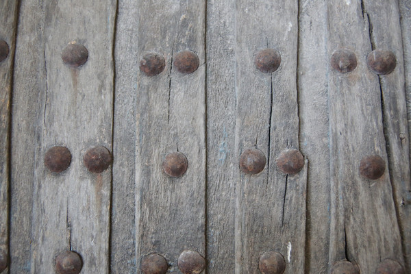 �鶤��ľ��