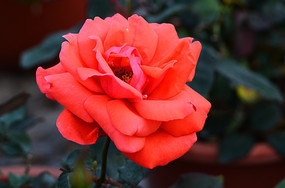 һ�����޵ĺ��¼�