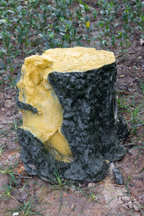 ľ