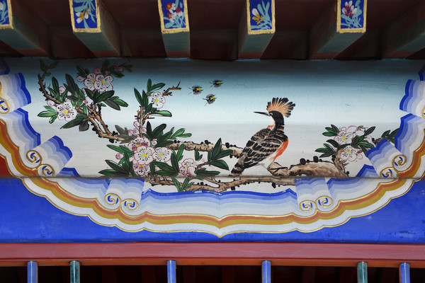 �Ž��ʻ�仨С��