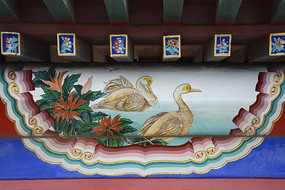 �Ž��ʻ滨��ҰѼ