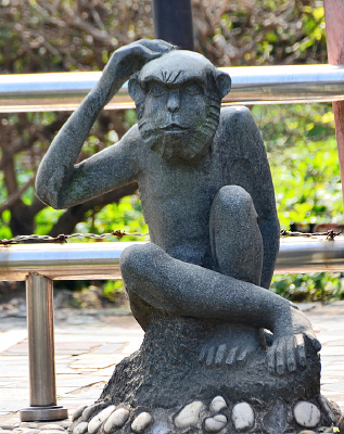 ���ӵ�������ͼƬ