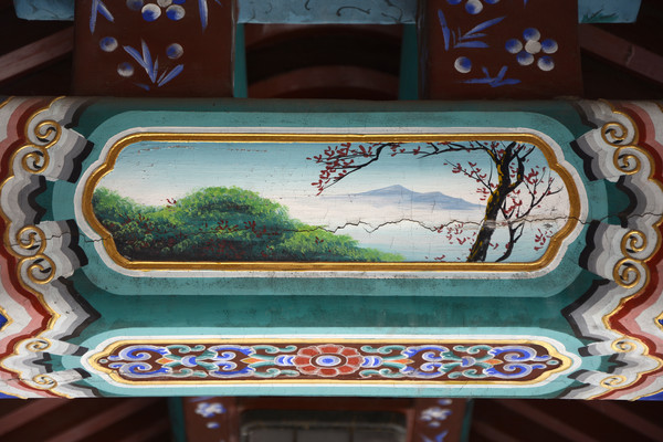 �����ʻ�����