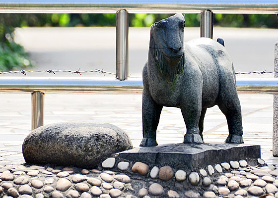 ���������ͼƬ