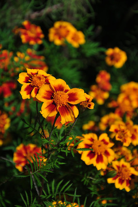 ������ʱ��