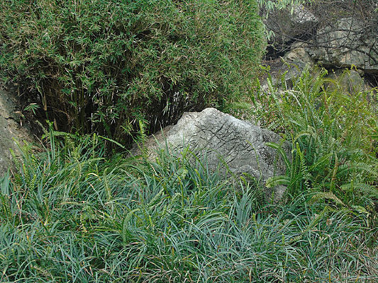 ��ʯ����