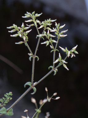 Ұ���������