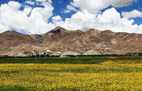 ��ԭ�羰װ�λ�