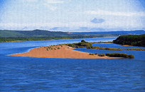 �����羰��