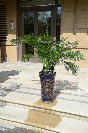 ���Ի���