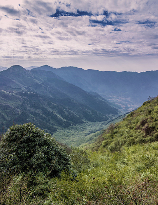 ɽ����Ͽ�ȷ��