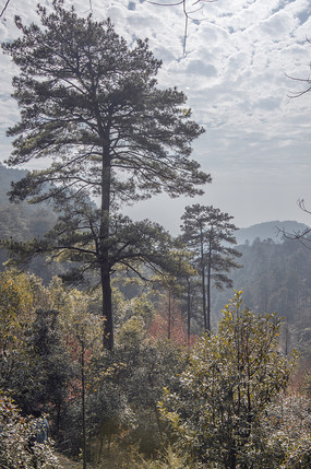 ɽ��һ����