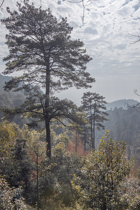 ɽ��һ����