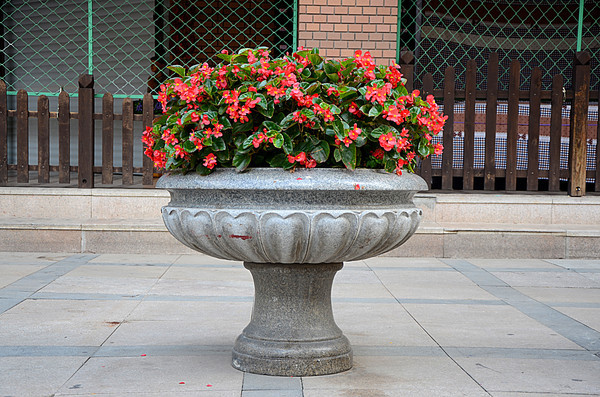 �컨ʯ����