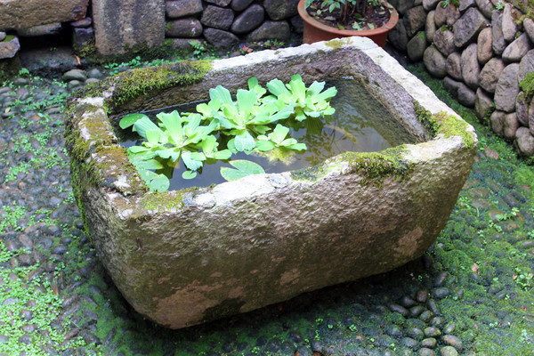 ʯͷˮ�������ֲ