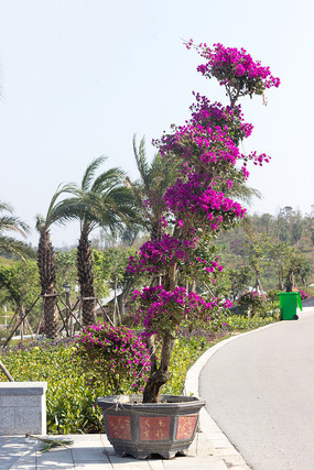 һ������÷