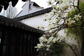 Ժ�ڰ�����