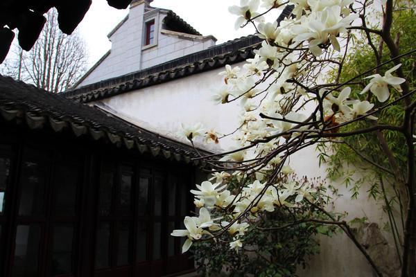 Ժ�ڰ�����