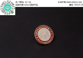 ��������Сѧ����