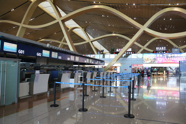 ���¥��Ʊ��