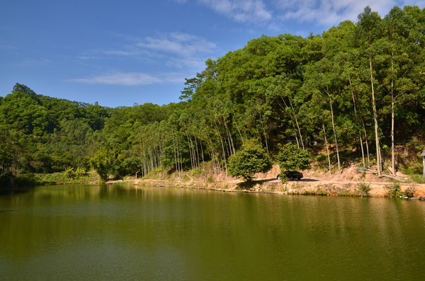 ƽ���ĺ���