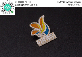 ���ܲ�Сѧ����