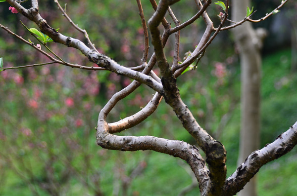 һ����������