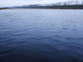 ����ˮ��