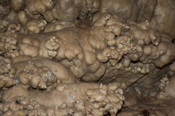 ÷��״����ʯ