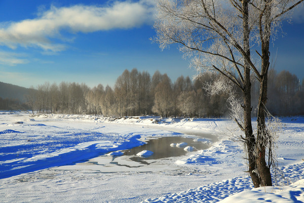 ����ѩԭ���