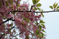 �Ϻ�����