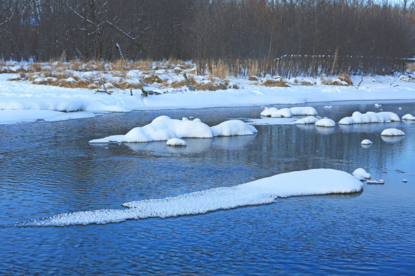 ��������ѩ��