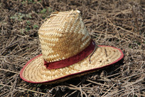 �����Ĳ�ñ��д