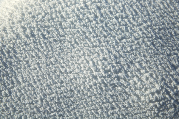 ѩ��ѩ��ͼ��