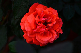 ���޵ĺ��¼���