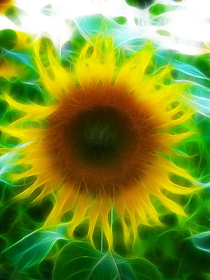 ���Ի���������