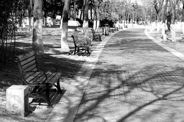 ��԰����������ͼƬ