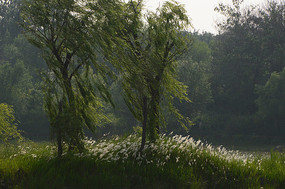 ������é��