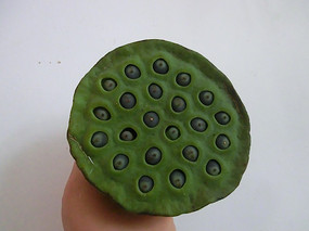 ƽ������