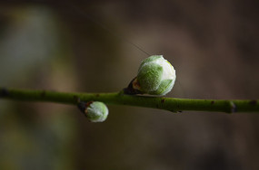 �һ��������дͼƬ